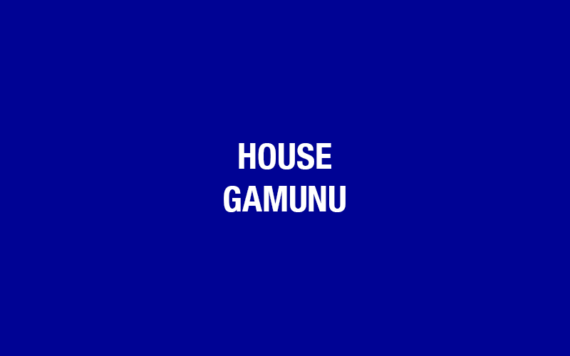 Gamunu Flag