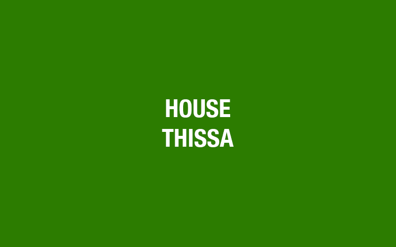 Thisa Flag